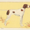 The Pointer.