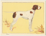 The Pointer.