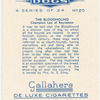 The Bloodhound.