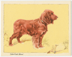 The Golden Spaniel.