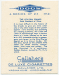 The Golden Spaniel.