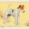 The Fox Terrier (Wire).