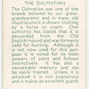 The Dalmatian.