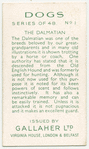 The Dalmatian.