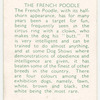 The French Poodle.