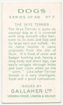 The Skye Terrier.
