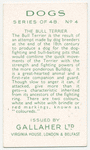The Bull Terrier.