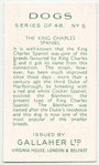 The King Charles Spaniel.