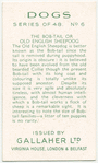 The Bob-Tail or Old English Sheepdog.