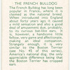 The French Bulldog.