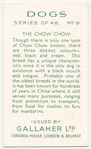 The Chow-Chow.