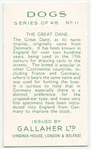 The Great Dane.