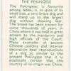 The Pekingese.