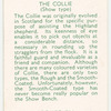 The Collie (Show type).
