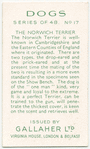 The Norwich Terrier.