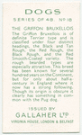 The Griffon Bruxellois.