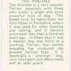 The Airedale.
