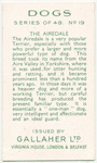 The Airedale.