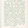 The Cocker Spaniel.