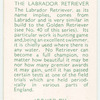 The Labrador Retriever.