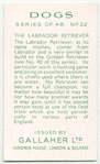 The Labrador Retriever.