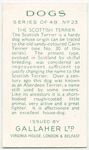 The Scottish Terrier.