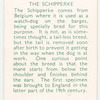 The Schipperke.