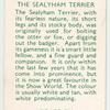 The Sealyham Terrier.