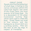 Great Dane.