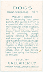 Welsh Terrier.