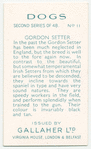 Gordon Setter.