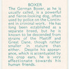 Boxer.