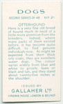 Otterhound.