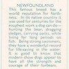Newfoundland.