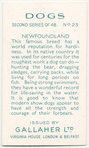 Newfoundland.