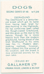 Deerhound.