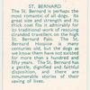 St. Bernard.