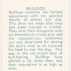 Bulldog.