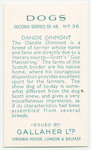 Dandie Dinmont.