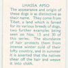 Lhassa Apso.