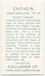 Basset Hound.