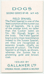 Field Spaniel.