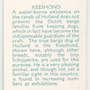 Keeshond.