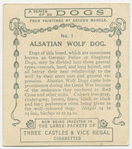 Alsatian Wolf Dog.