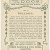 Bulldog.
