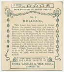 Bulldog.