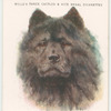 Chow-Chow.
