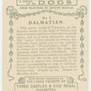 Dalmatian.