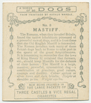 Mastiff.