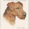 Airedale Terrier.